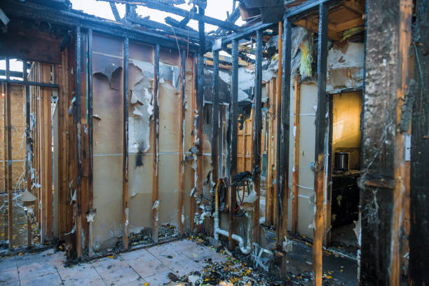 Professional Emergency Fire Cleanup technician working in Northport, AL